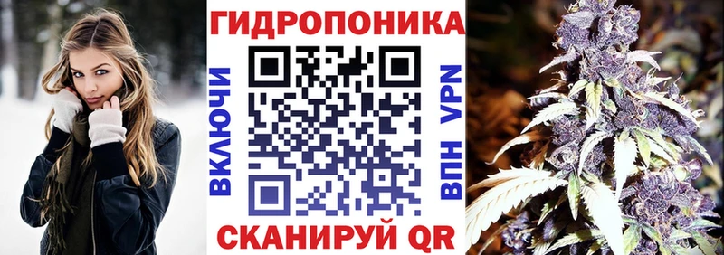 Конопля сатива  кракен как зайти  Губкинский 